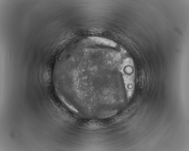 X0000112010608200908241456