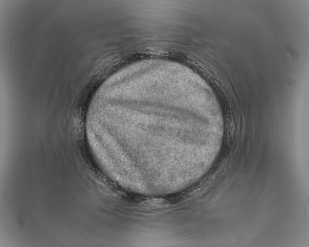 X0000112010609200908241456