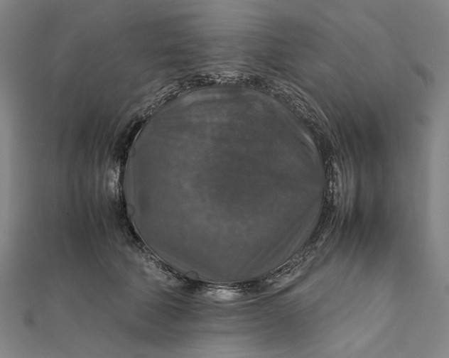 X0000112010610200908241456