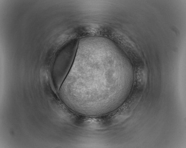 X0000112010611200908241456