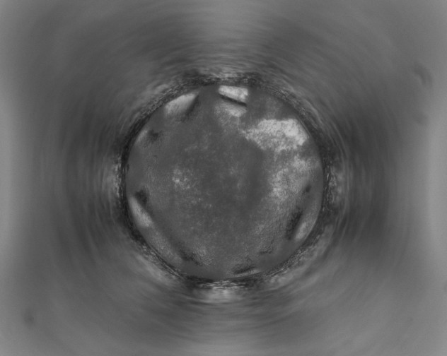 X0000112010612200908241456