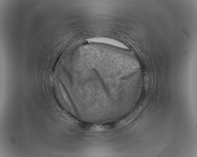 X0000112010613200908241456