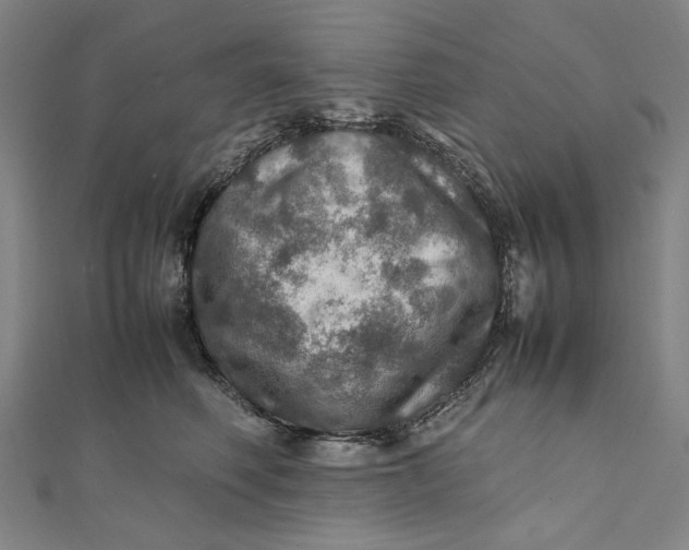 X0000112010614200908241456