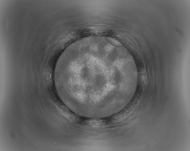 X0000112010615200908241456