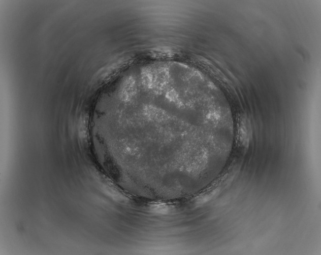 X0000112010616200908241456