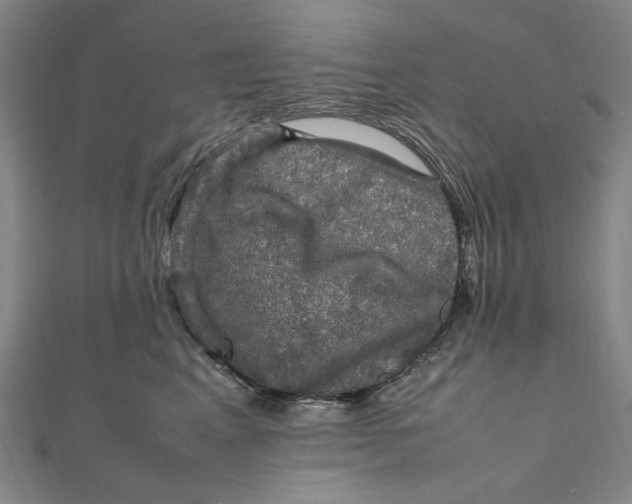 X0000112010617200908241456