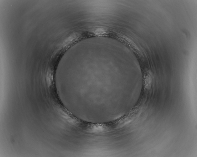 X0000112010618200908241456