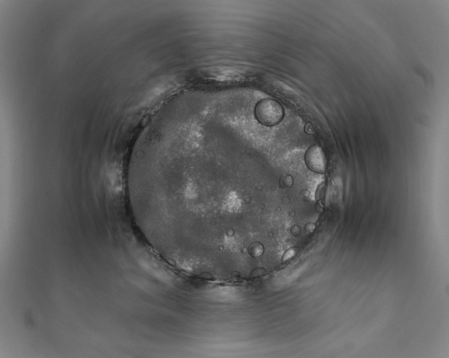 X0000112010620200908241456