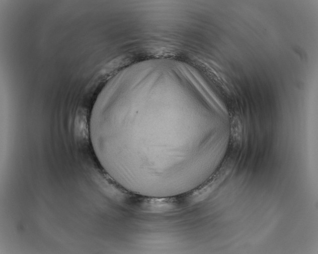 X0000112010622200908241456