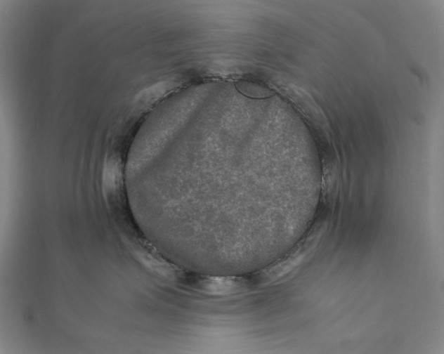 X0000112010623200908241456