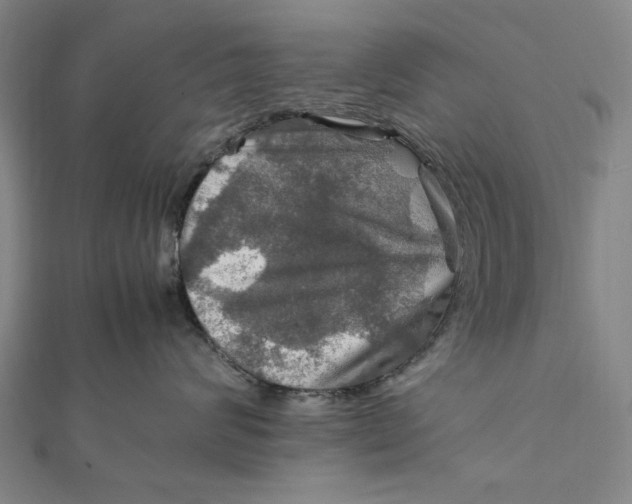 X0000112010624200908241456