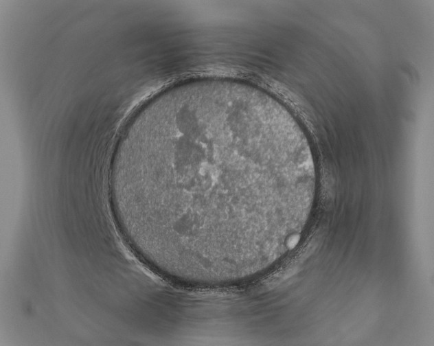 X0000112010625200908241455