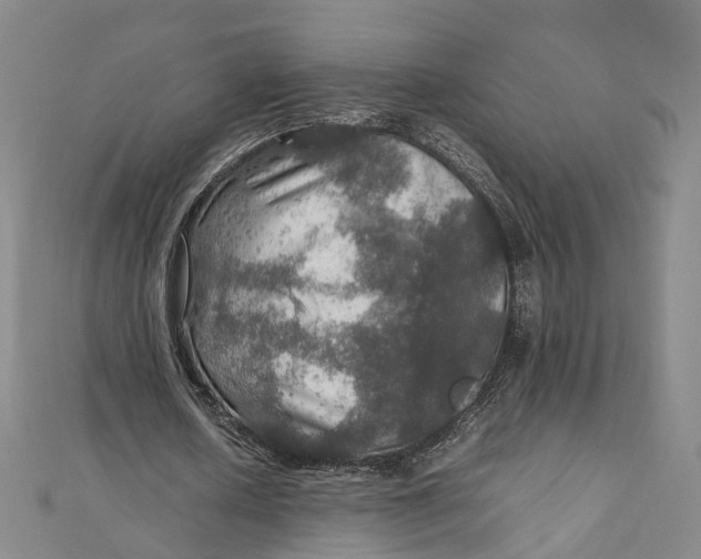 X0000112010626200908241455