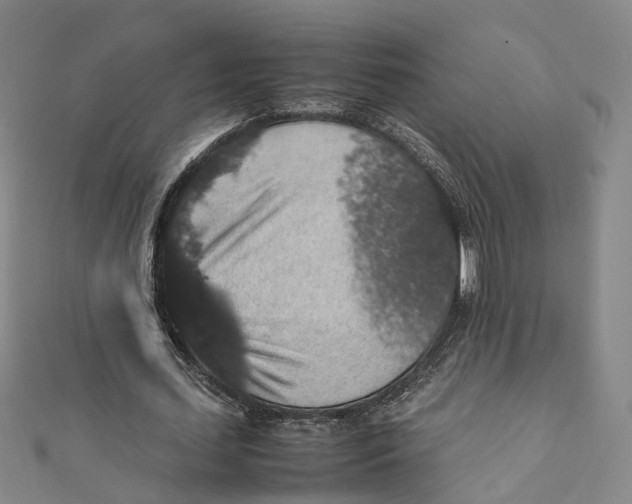 X0000112010627200908241455