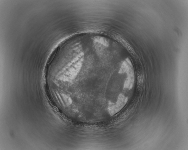 X0000112010628200908241455