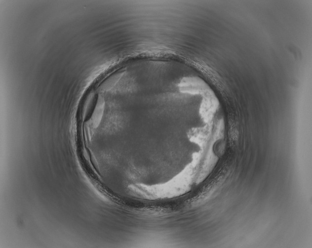 X0000112010630200908241455