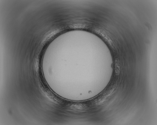 X0000112010631200908241455