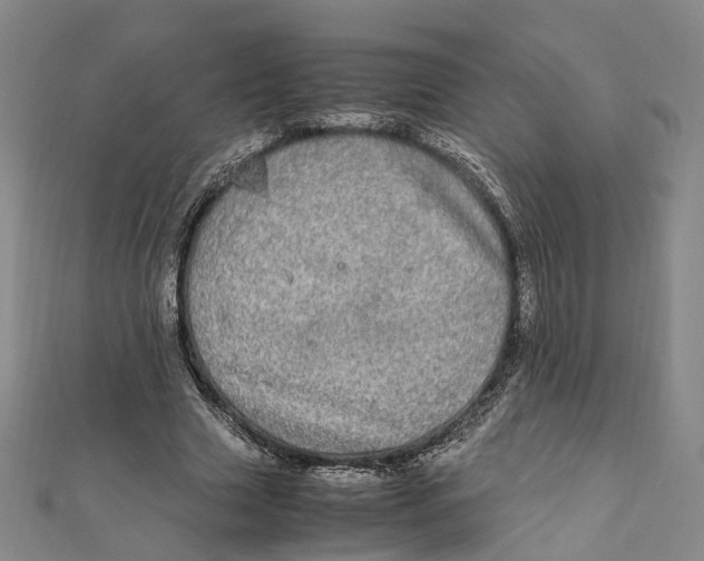 X0000112010633200908241455