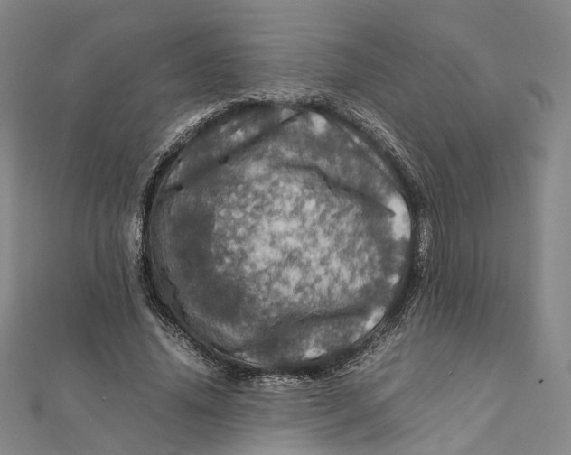 X0000112010636200908241455