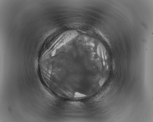 X0000112010637200908241455