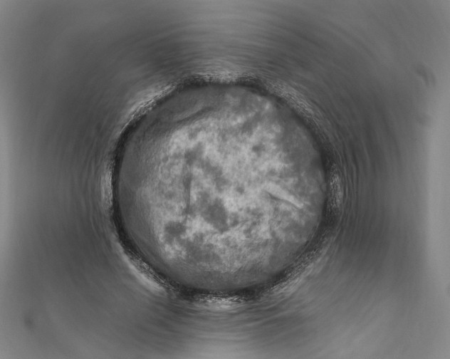 X0000112010638200908241455