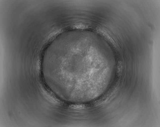 X0000112010639200908241455