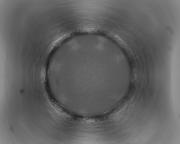 X0000112010640200908241455