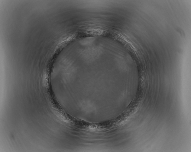 X0000112010641200908241455