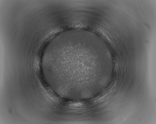 X0000112010643200908241456