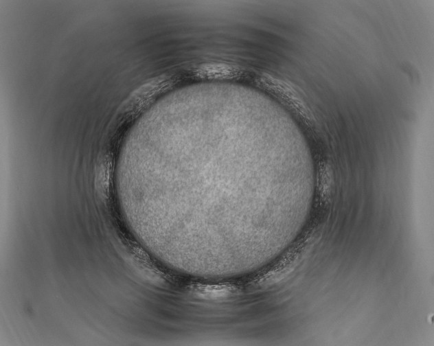 X0000112010645200908241456