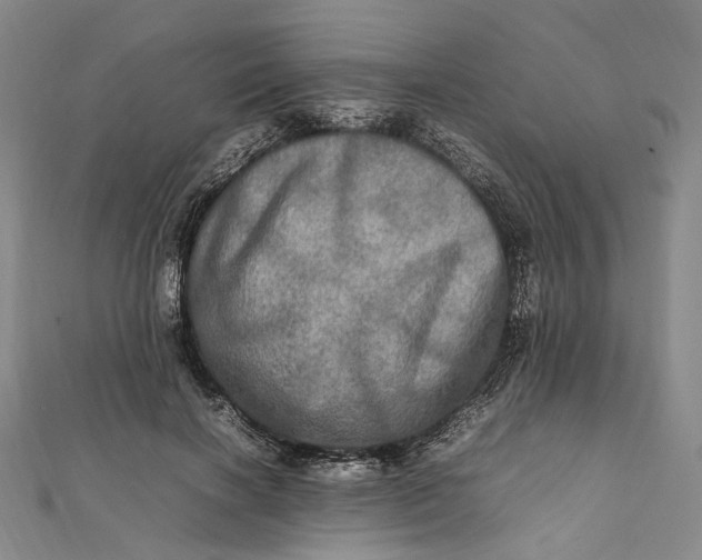 X0000112010646200908241456