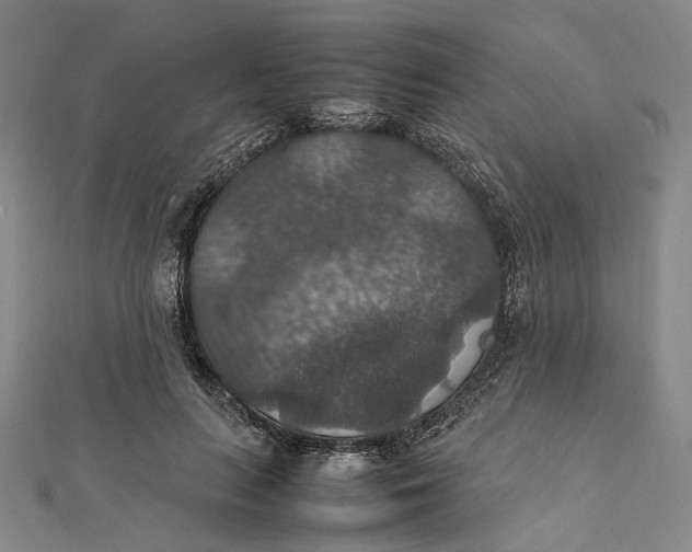 X0000112010647200908241456