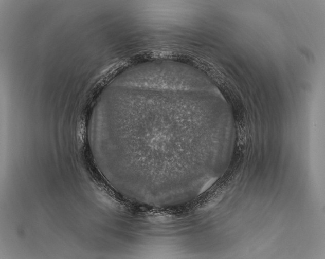 X0000112010648200908241456