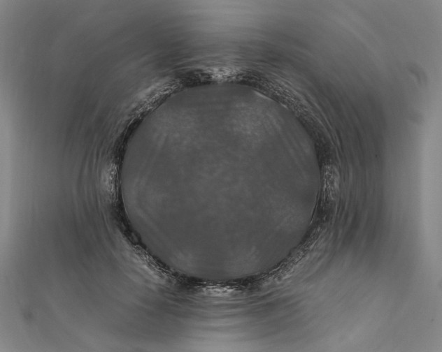 X0000112010650200908241456