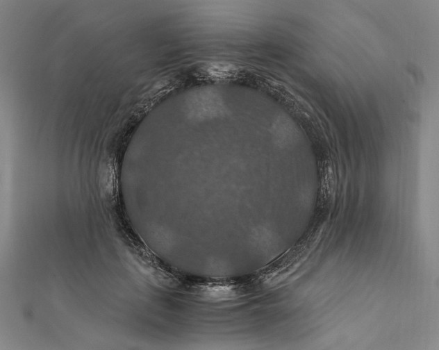 X0000112010651200908241456