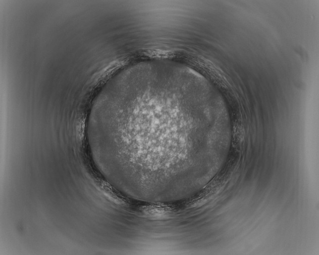 X0000112010652200908241456