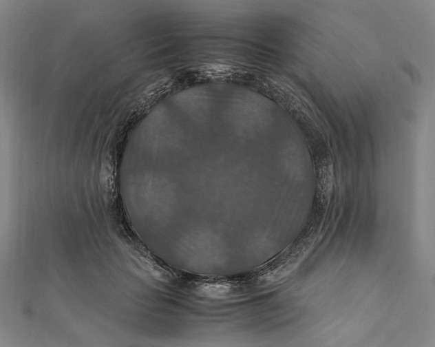 X0000112010653200908241456