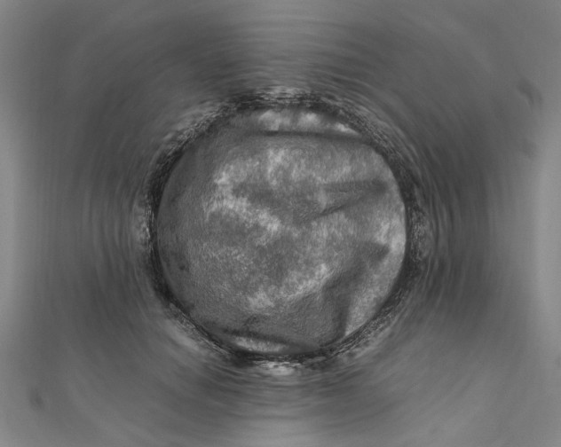 X0000112010654200908241456