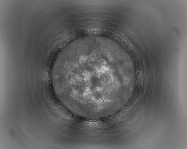 X0000112010655200908241456