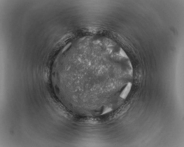 X0000112010656200908241456