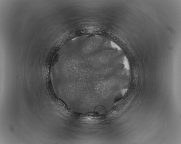 X0000112010657200908241456