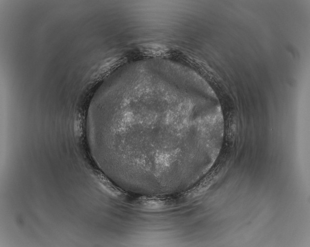 X0000112010658200908241456