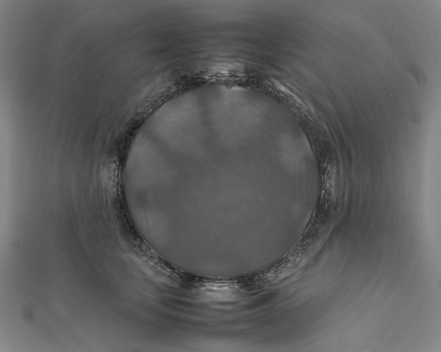 X0000112010659200908241456