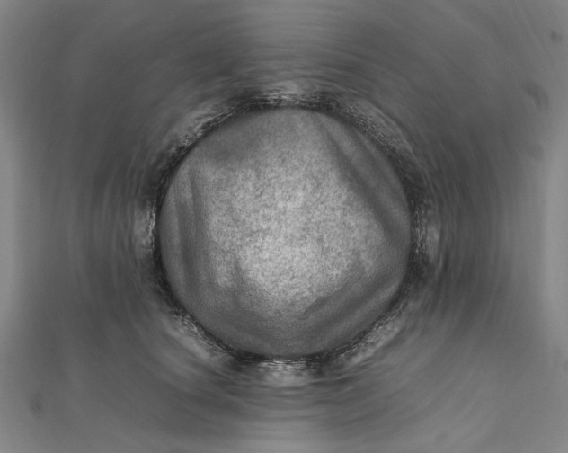 X0000112010660200908241456