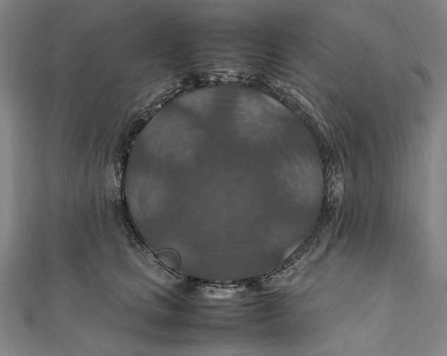 X0000112010661200908241456