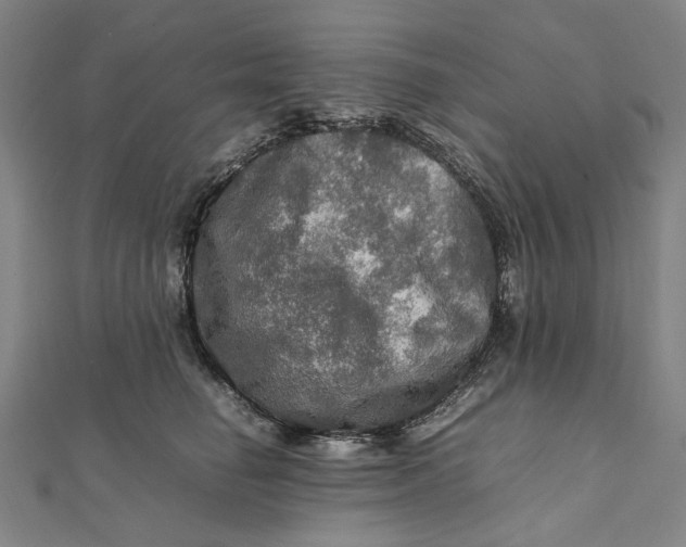 X0000112010662200908241456