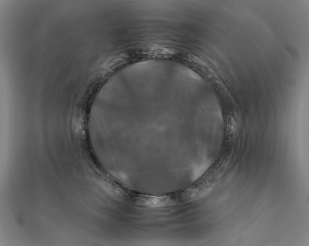 X0000112010663200908241456