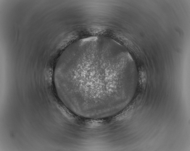 X0000112010664200908241456