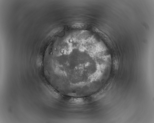 X0000112010665200908241456