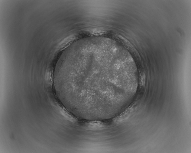 X0000112010666200908241456